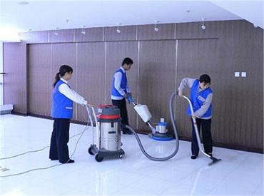 辦公室防蟲妙招